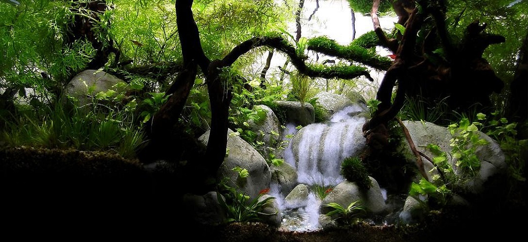 Shiratani Ravine