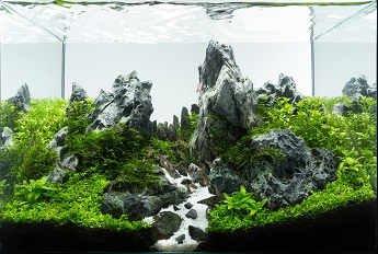 Planted Aquarium Art work 'Peaks'