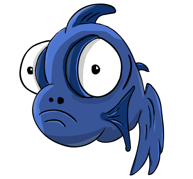 Blue Fish profile picture