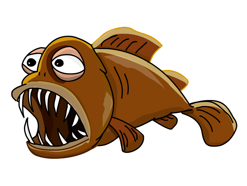 Brown Fish profile picture